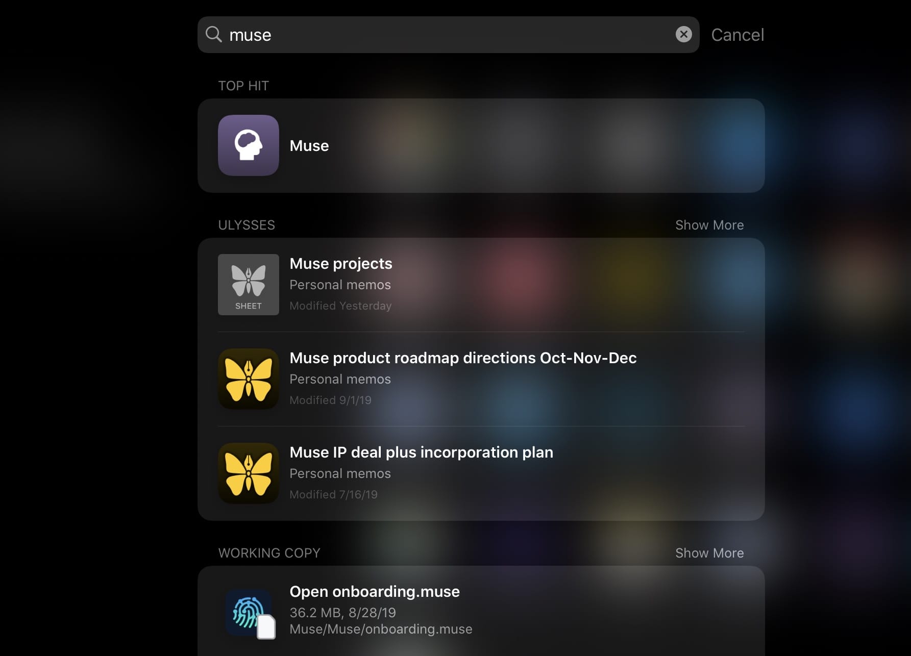 screenshot of iPad search