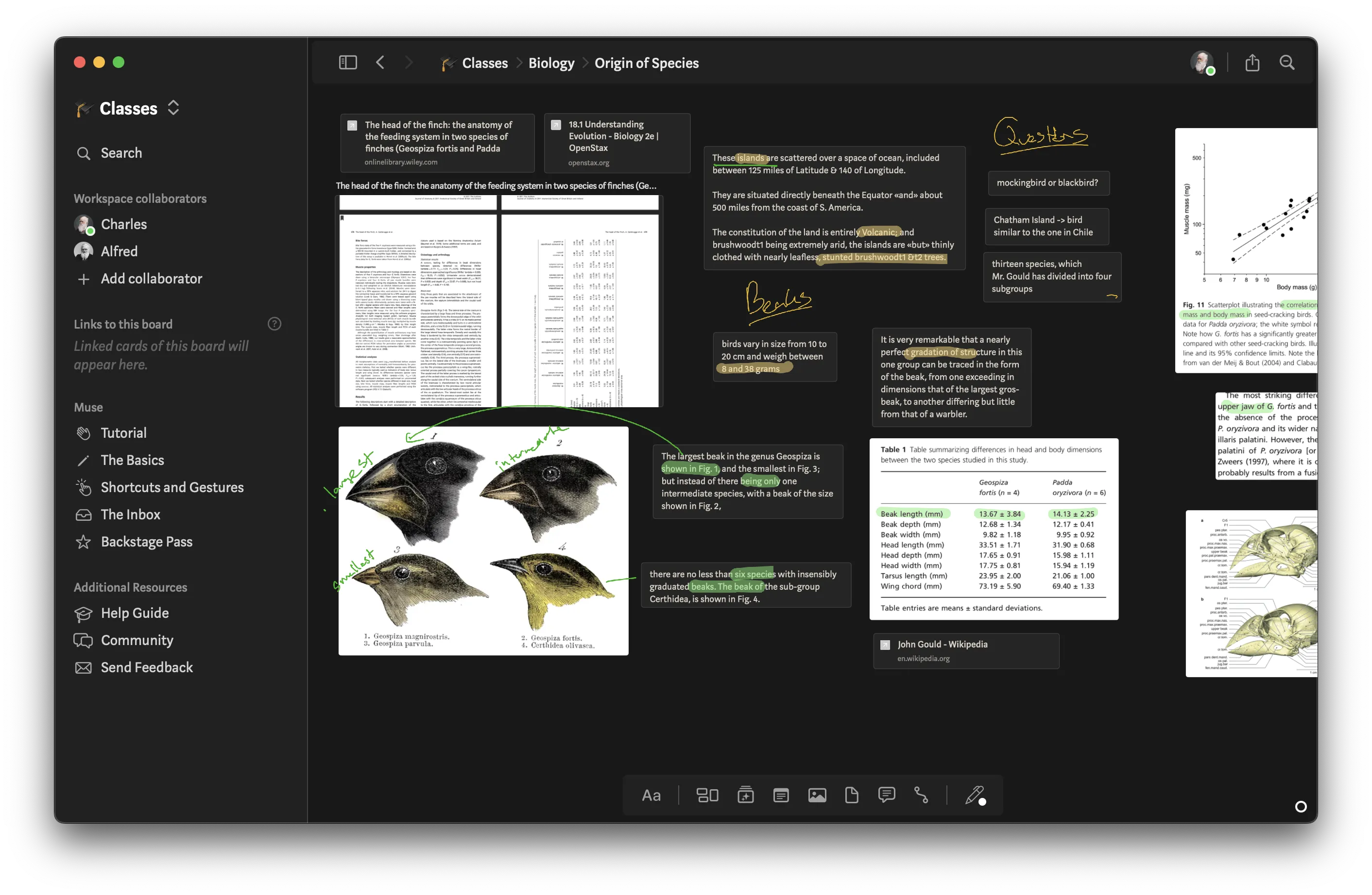 Muse application in dark mode