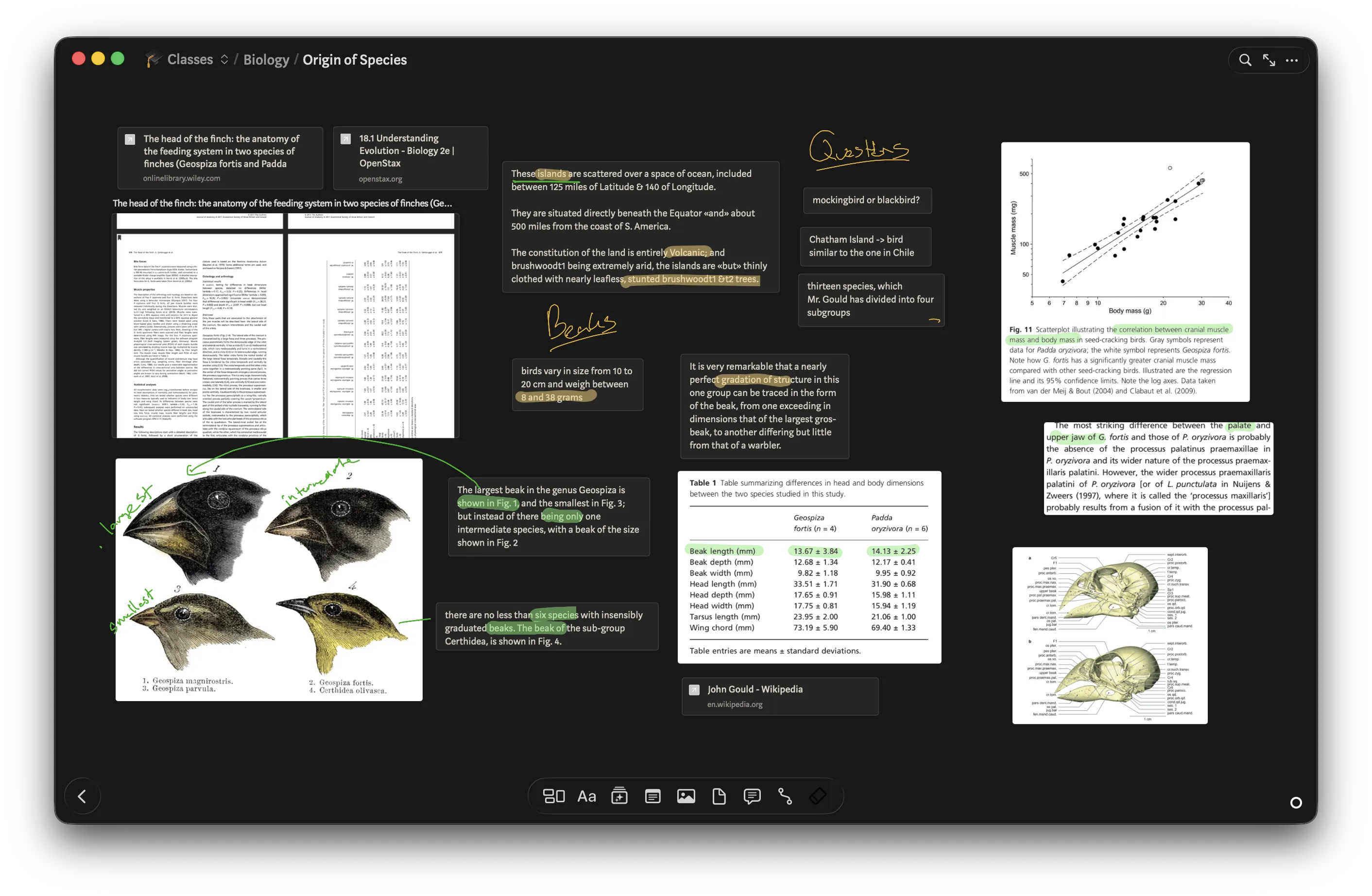 Allume application in dark mode