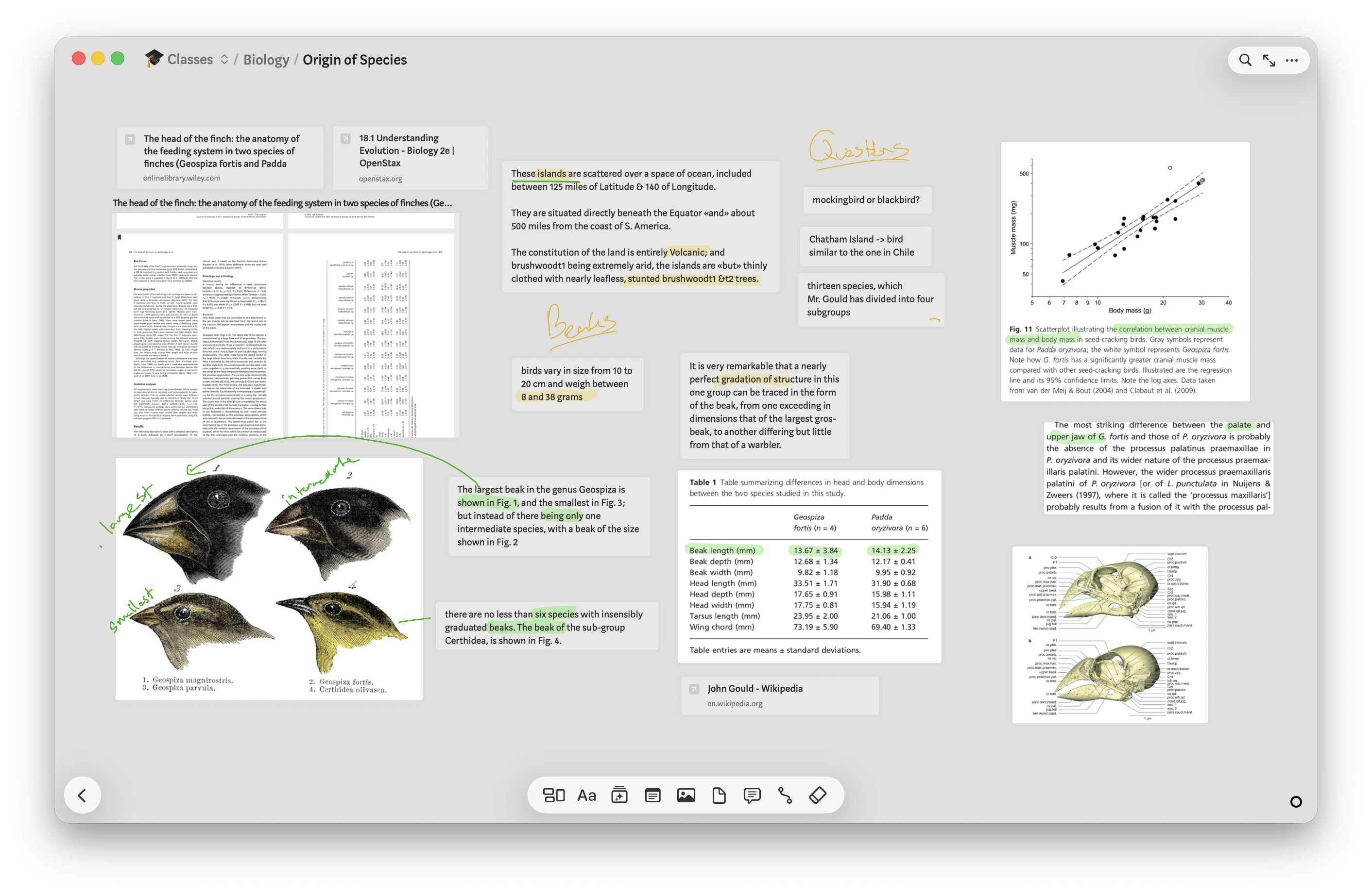 Allume on Mac showing the new Liquid Glass navigation and action bars